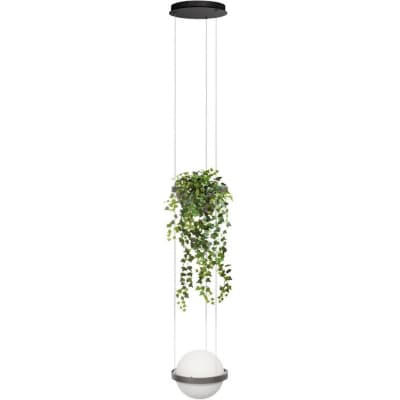 Подвесной светильник Loft It Jardin 10121/1P Dark grey