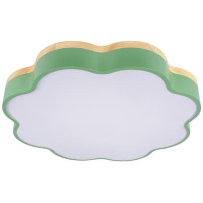 Потолочный светильник Loft It Axel 10225/36 Green