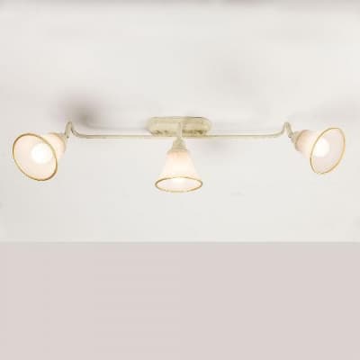 Спот Прованс CL511534 Citilux