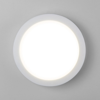 Настенно-потолочный светильник Elektrostandard Circle LTB51