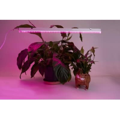 Светильник для растений  41352 Feron