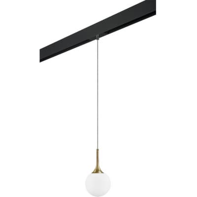 Трековый светильник Lightstar Globo PRO813013