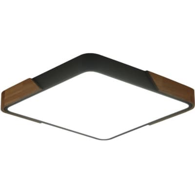 Потолочный светильник Zortes Alberro ZRS.01288.48