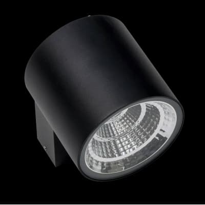Уличный настенный светодиодный светильник Lightstar Paro 361674