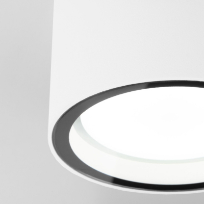 Потолочный светильник уличный Elektrostandard Light 35144/H