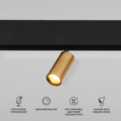 Трековый светильник Elektrostandard Slim Magnetic 85071/01