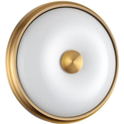 Настенно-потолочный светильник Odeon Light Pelow 4956/2