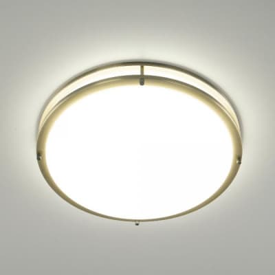Настенно-потолочный светильник Citilux Бостон CL709503N