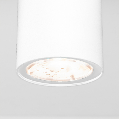 Потолочный светильник уличный Elektrostandard Light LED 35129/H белый