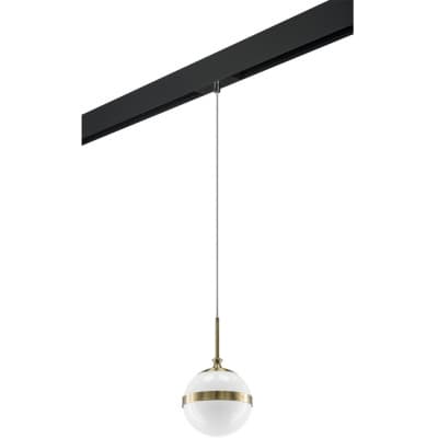 Трековый светильник Lightstar Globo PRO813111