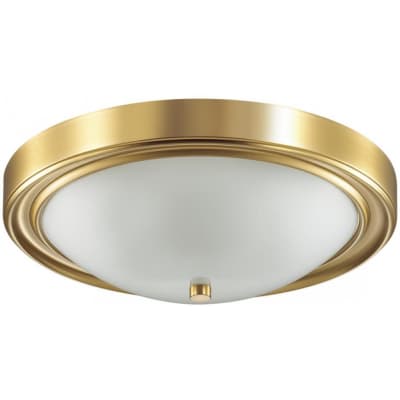 Потолочный светильник Lumion Nina 5259/3C