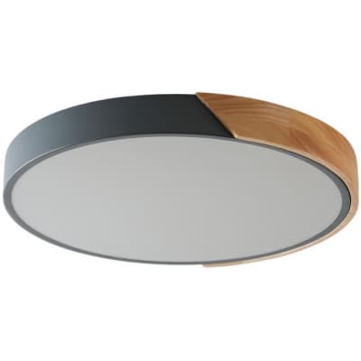 Потолочный светильник Zortes Alberro ZRS.01280.90