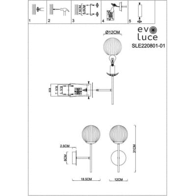 Бра Andria SLE220801-01 Evoluce