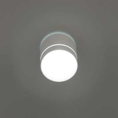 Точечный светильник Борн CL745020N Citilux