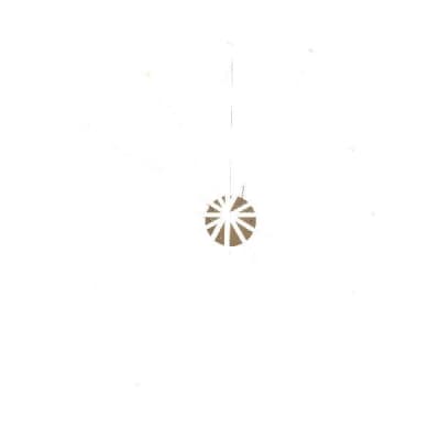 Подвесной светильник Basoni SL394.223.06 ST Luce