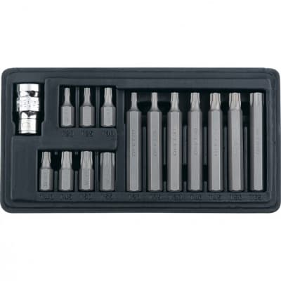 Набор бит TORX, хвостовик-шестигранник, 10 мм, CrV, 15 предметов Stels 11315