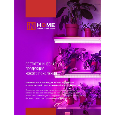 Светильник светодиодный IN HOME СПБ-110 STD-ФИТО красно-синий спектр 55Вт 1200мм IP40 4690612057033