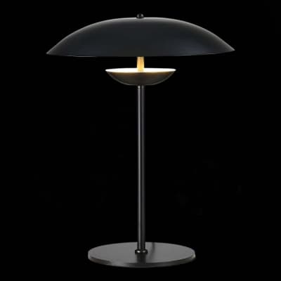 Интерьерная настольная лампа ST Luce Armonico SL6502.404.01
