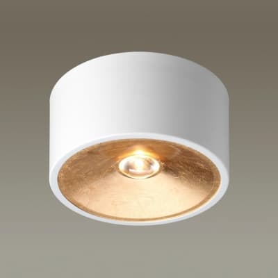 Накладной светильник ODEON LIGHT GLASGOW 3892/1C