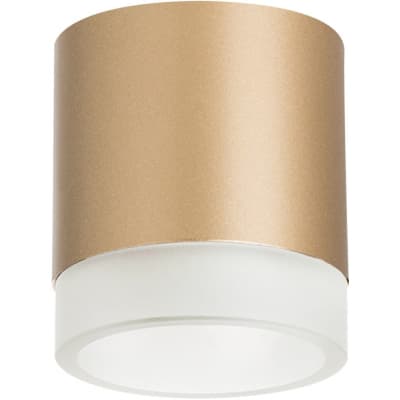 Точечный светильник Lightstar Rullo R349080