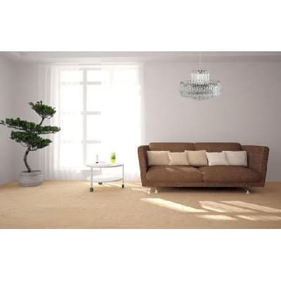 Подвесная люстра Ovada Ovada E 1.5.50.100 N Arti Lampadari