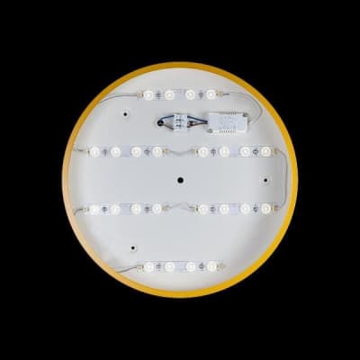 Потолочный светильник Axel 10002/24 Yellow Loft It