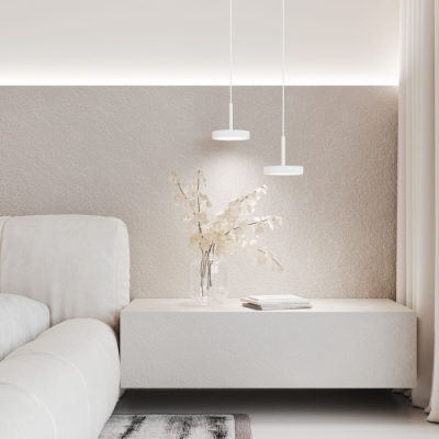 Подвесной светильник Elektrostandard Plate 50260 LED
