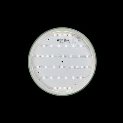 Потолочный светильник Loft It Axel 10001/36 Green