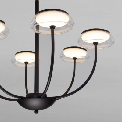 Потолочная люстра Eurosvet Fungo 50388 LED Черный