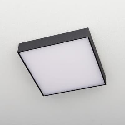 Потолочный светильник Тао CL712K242 Citilux