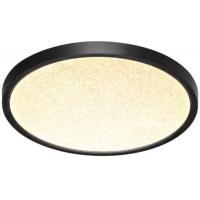 Настенно-потолочный светильник Sonex Omega Black 7662/24L
