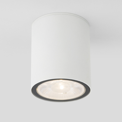 Потолочный светильник уличный Elektrostandard Light LED 35131/H белый