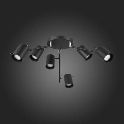 Потолочная люстра Fanale SL597.402.06 ST Luce