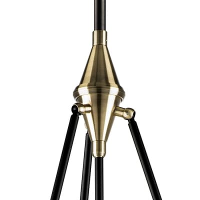Потолочная люстра Lightstar Modena 816047