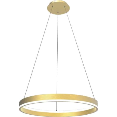 Подвесной светильник Lightstar Rotonda 736412