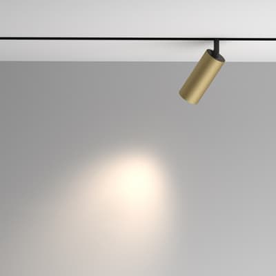 Трековый светильник Maytoni Artisan TR097-2-12W4K-M-BMG