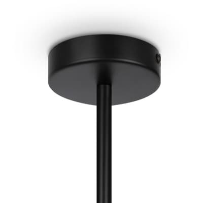 Потолочная люстра Maytoni Memory MOD177PL-04B