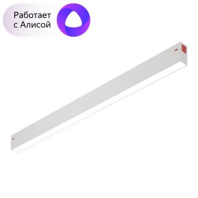Трековый светильник Smart DK8005-WH Denkirs