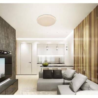 Потолочный светильник LED LAMPS LED LAMPS 81082 Natali Kovaltseva
