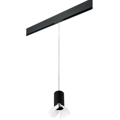 Трековый светильник Lightstar Rullo PRORP437436