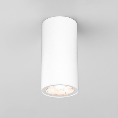 Потолочный светильник уличный Elektrostandard Light LED 35129/H белый
