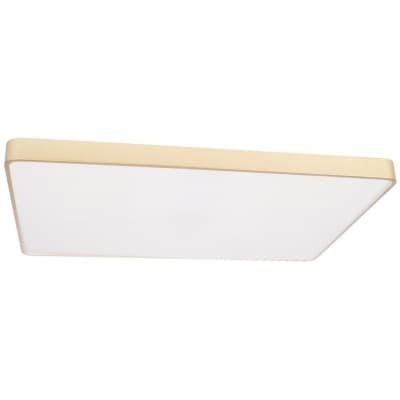 Потолочный светильник Loft It Flims 10228/E