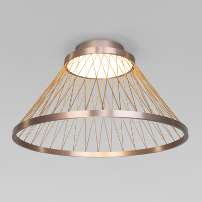 Потолочный светильник Eurosvet Cesta 40019/1 LED коричневый
