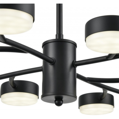 Потолочная люстра Lumion Torina 8117/12