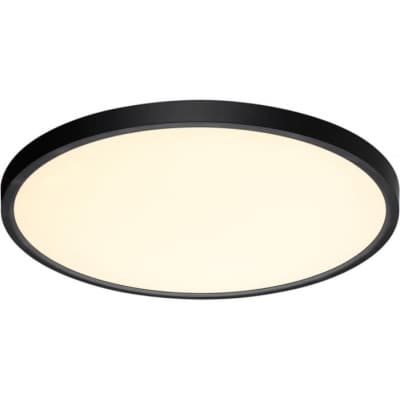 Настенно-потолочный светильник Sonex Alfa Black 7660/40L