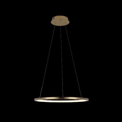 Подвесной светильник Ring 10014M Loft It