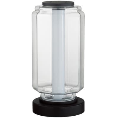 Интерьерная настольная лампа Odeon Light Jam 5409/10TL
