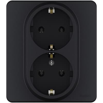 Розетка двойная с заземлением Legrand Inspiria для скрытого монтажа , цвет "Антрацит". Максимальный ток 16 А, напряжение ~250В, максимальная мощность 3680 Вт. 673753
