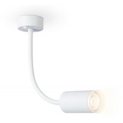 Настенно-потолочный светильник Ambrella WALLERS FW2469