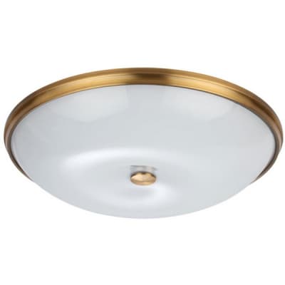 Настенно-потолочный светильник Odeon Light Pelow 4956/6